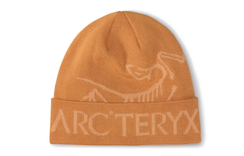 Arcteryx