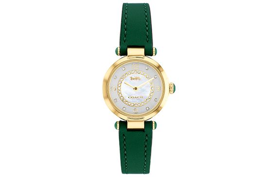 COACH Cary 14503894