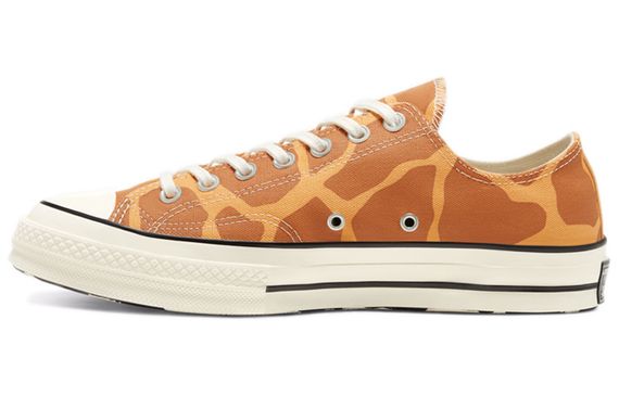 Converse 1970s Archive Print Chuck 70