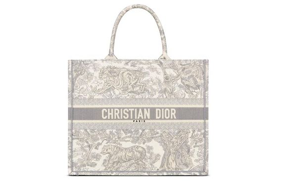 DIOR BookTote Tote