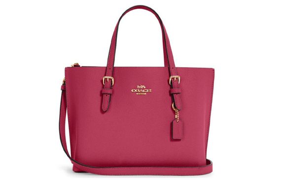 COACH Mollie 25 Tote