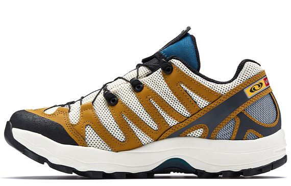 SALOMON XA Pro 1