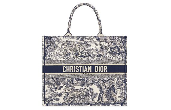 DIOR BookTote Tote