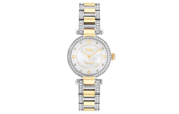 COACH Cary 14503840