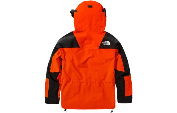 THE NORTH FACE 1994 1994 Retro Mountain Light Futurelight™ Jacket