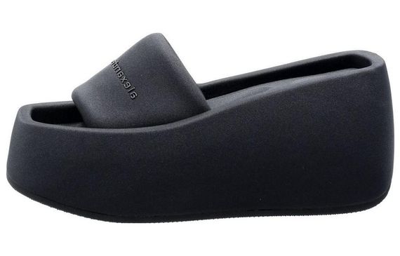 Alexander wang Taji
