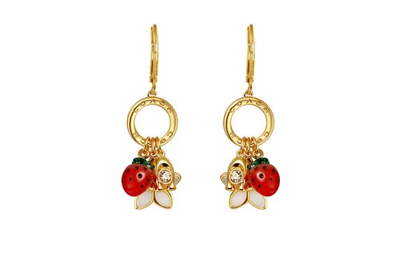 【 】 COACH Fruit