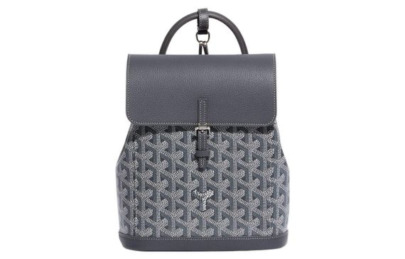 GOYARD Alpine