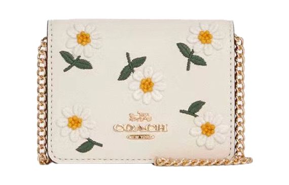 COACH Chain 10