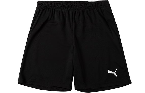PUMA Logo