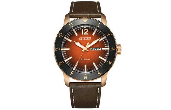 CITIZEN Bip AW0079-13XB