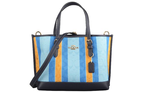 COACH Mollie 25 Tote