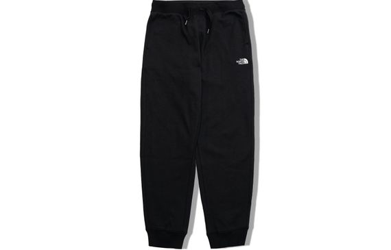 THE NORTH FACE SS22 Logo