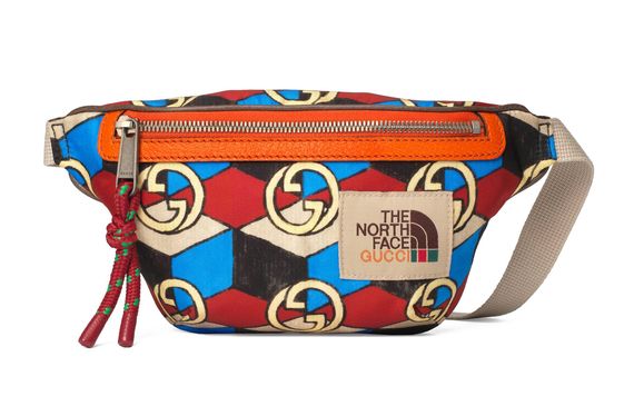 【THE NORTH FACE 】 GUCCI x THE NORTH FACE Logo