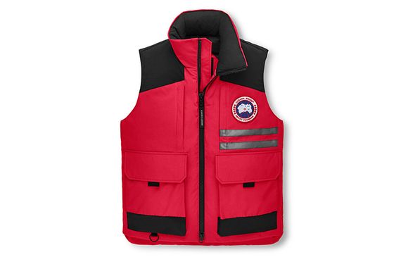 Canada Goose