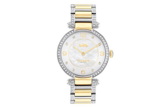 COACH CARY 34mm 14503833