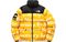 Supreme FW15 x The North Face By Any Means Nuptse Jacket Yellow