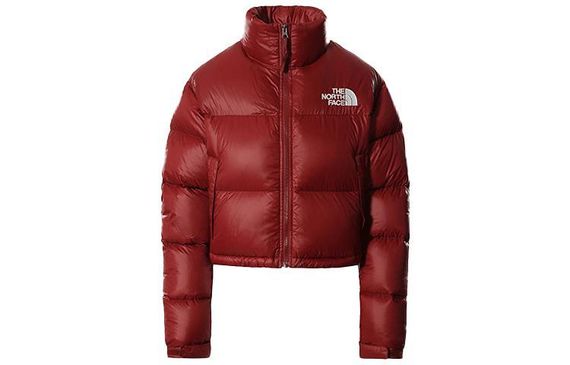 THE NORTH FACE Logo