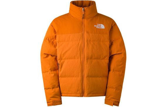 THE NORTH FACE Nuptse Logo ICON 700