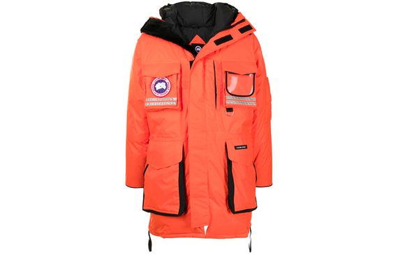 Canada Goose