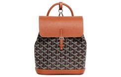 GOYARD Alpin