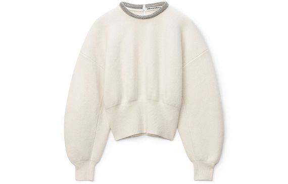 Alexander wang FW21