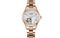 CITIZEN PC1018-69D