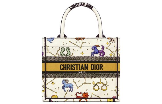 DIOR BookTote Tote