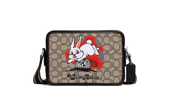 COACH X Charter