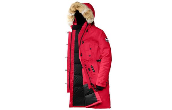 Canada Goose