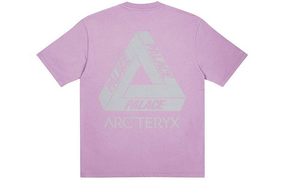 Arcteryx x PALACE PLACE ARC'TERYX Logo T