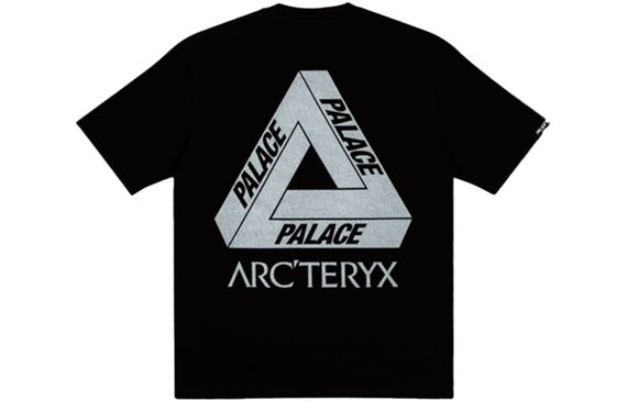 Arcteryx x PALACE PLACE ARC'TERYX Logo T