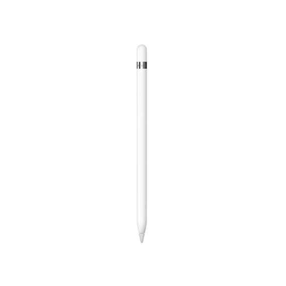 Apple Pencil（ ） iPad mini5 / iPad Air 3 / iPad 10.2 ( / )