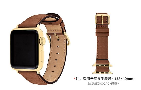COACH 40mm 14700199