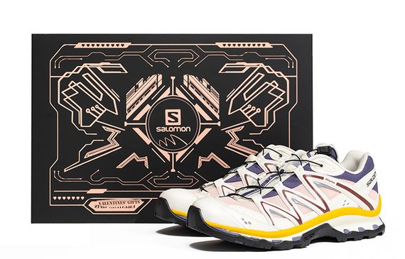 SALOMON XT-Quest Advanced