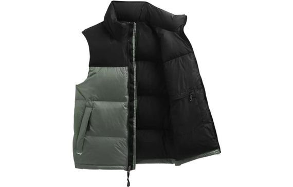 THE NORTH FACE FW22 1996 Retro Nuptse 700