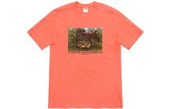 Supreme SS20 Week 1 Masterpieces Tee T