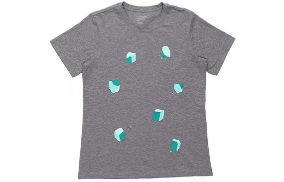 Arcteryx T