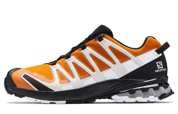 SALOMON XA Pro 3D V8