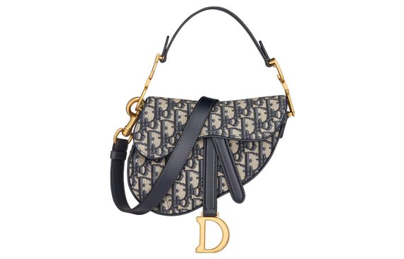 DIOR Saddle