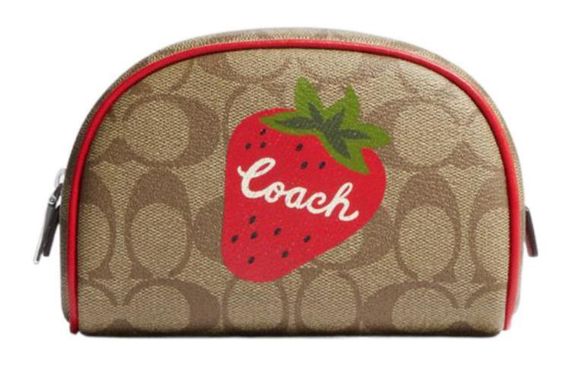 COACH Dome 15