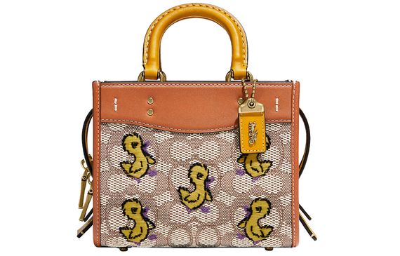 COACH Rogue 17