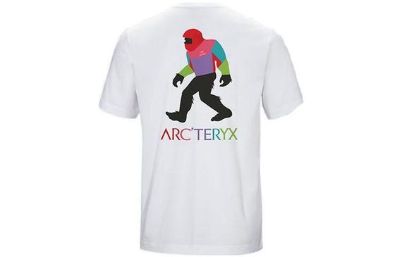 Arcteryx x Bigfoot SV Polychrome T