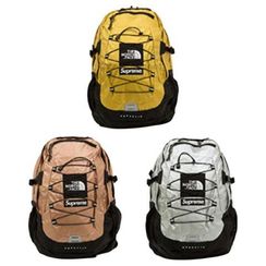 Supreme x /THE NORTH FACE SS18 Metallic Borealis Logo