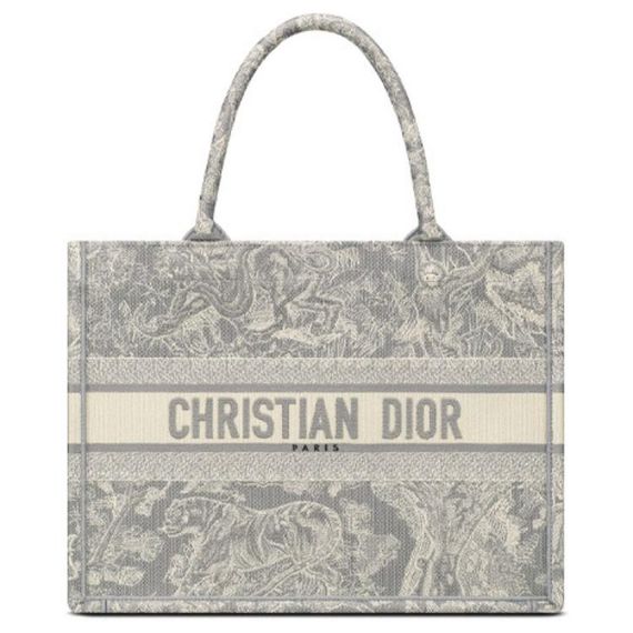DIOR BookTote Tote