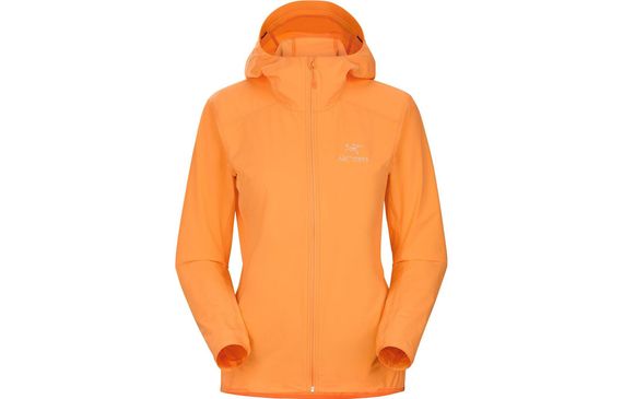 Arcteryx GAMMA SL Hoody Homen&#39;s Logo