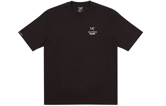 Arcteryx x PALACE PLACE ARC'TERYX Logo T