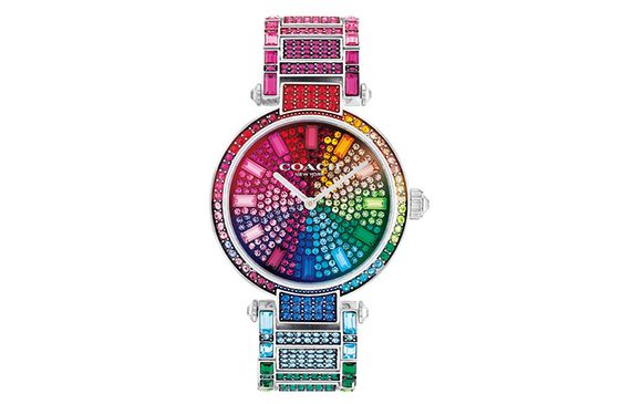 COACH CARY 34mm
