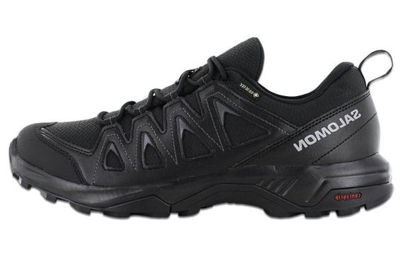 SALOMON X Braze GTX /