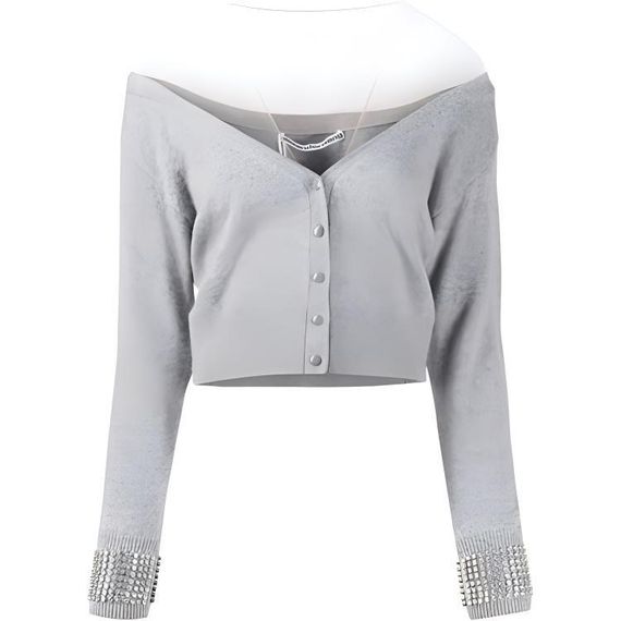 Alexander wang